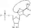 Fig. 92 - Modified polynucleotides encoding aquaporin-5