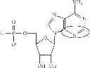 Fig. 93 - Modified polynucleotides encoding aquaporin-5