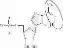 Fig. 94 - Modified polynucleotides encoding aquaporin-5
