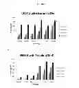 Fig. 07 - Modified polynucleotides encoding copper metabolism (MURR1) domain containing 1