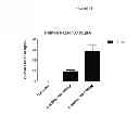 Fig. 34 - Modified polynucleotides encoding copper metabolism (MURR1) domain containing 1