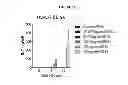 Fig. 55 - Modified polynucleotides encoding copper metabolism (MURR1) domain containing 1