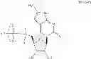 Fig. 84 - Modified polynucleotides encoding copper metabolism (MURR1) domain containing 1