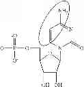 Fig. 85 - Modified polynucleotides encoding copper metabolism (MURR1) domain containing 1