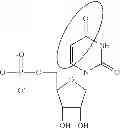 Fig. 87 - Modified polynucleotides encoding copper metabolism (MURR1) domain containing 1