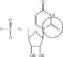 Fig. 88 - Modified polynucleotides encoding copper metabolism (MURR1) domain containing 1