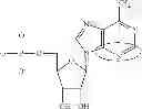 Fig. 90 - Modified polynucleotides encoding copper metabolism (MURR1) domain containing 1