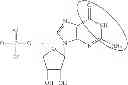 Fig. 96 - Modified polynucleotides encoding copper metabolism (MURR1) domain containing 1