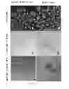 Fig. 06 - Compositions for encapsulating biomaterials and uses related thereto