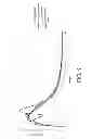 Fig. 06 - Gastric retentive extended release pharmaceutical compositions