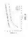 Fig. 19 - Gastric retentive extended release pharmaceutical compositions