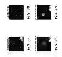 Fig. 07 - SILK MICROSPHERES FOR ENCAPSULATION AND CONTROLLED RELEASE