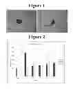 Fig. 02 - Reduction of flake-like aggregation in nanoparticulate active agent compositions