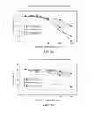 Fig. 04 - TOPICAL USE OF LEVOFLOXACIN FOR REDUCING LUNG INFLAMMATION