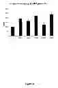 Fig. 09 - SPHERICAL MICROCAPSULES COMPRISING GLP-1 PEPTIDES, THEIR PRODUCTION AND USE