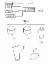 Fig. 02 - HOMEOPATHIC COMPOSITION AND METHOD FOR THE TREATMENT OF SKIN IRRITATIONS AND OTHER SKIN DISEASES