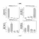 Fig. 06 - HEMOGLOBIN-BASED OXYGEN CARRIER-CONTAINING PHARMACEUTICAL COMPOSITION FOR CANCER TARGETING TREATMENT AND PREVENTION OF CANCER RECURRENCE
