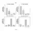 Fig. 07 - HEMOGLOBIN-BASED OXYGEN CARRIER-CONTAINING PHARMACEUTICAL COMPOSITION FOR CANCER TARGETING TREATMENT AND PREVENTION OF CANCER RECURRENCE