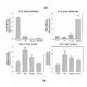 Fig. 08 - HEMOGLOBIN-BASED OXYGEN CARRIER-CONTAINING PHARMACEUTICAL COMPOSITION FOR CANCER TARGETING TREATMENT AND PREVENTION OF CANCER RECURRENCE