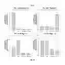 Fig. 09 - HEMOGLOBIN-BASED OXYGEN CARRIER-CONTAINING PHARMACEUTICAL COMPOSITION FOR CANCER TARGETING TREATMENT AND PREVENTION OF CANCER RECURRENCE