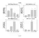 Fig. 10 - HEMOGLOBIN-BASED OXYGEN CARRIER-CONTAINING PHARMACEUTICAL COMPOSITION FOR CANCER TARGETING TREATMENT AND PREVENTION OF CANCER RECURRENCE