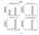 Fig. 12 - HEMOGLOBIN-BASED OXYGEN CARRIER-CONTAINING PHARMACEUTICAL COMPOSITION FOR CANCER TARGETING TREATMENT AND PREVENTION OF CANCER RECURRENCE