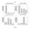 Fig. 14 - HEMOGLOBIN-BASED OXYGEN CARRIER-CONTAINING PHARMACEUTICAL COMPOSITION FOR CANCER TARGETING TREATMENT AND PREVENTION OF CANCER RECURRENCE