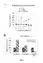 Fig. 17 - HEMOGLOBIN-BASED OXYGEN CARRIER-CONTAINING PHARMACEUTICAL COMPOSITION FOR CANCER TARGETING TREATMENT AND PREVENTION OF CANCER RECURRENCE