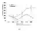 Fig. 24 - HEMOGLOBIN-BASED OXYGEN CARRIER-CONTAINING PHARMACEUTICAL COMPOSITION FOR CANCER TARGETING TREATMENT AND PREVENTION OF CANCER RECURRENCE