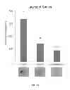 Fig. 26 - HEMOGLOBIN-BASED OXYGEN CARRIER-CONTAINING PHARMACEUTICAL COMPOSITION FOR CANCER TARGETING TREATMENT AND PREVENTION OF CANCER RECURRENCE