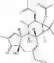Fig. 31 - Compositions And Methods Of Use Of Phorbol Esters In The Treatment Of Neoplasms