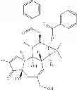 Fig. 33 - Compositions And Methods Of Use Of Phorbol Esters In The Treatment Of Neoplasms