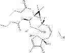 Fig. 34 - Compositions And Methods Of Use Of Phorbol Esters In The Treatment Of Neoplasms