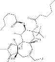 Fig. 36 - Compositions And Methods Of Use Of Phorbol Esters In The Treatment Of Neoplasms