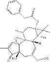 Fig. 46 - Compositions And Methods Of Use Of Phorbol Esters In The Treatment Of Neoplasms