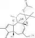 Fig. 50 - Compositions And Methods Of Use Of Phorbol Esters In The Treatment Of Neoplasms