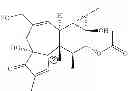 Fig. 51 - Compositions And Methods Of Use Of Phorbol Esters In The Treatment Of Neoplasms
