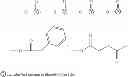 Fig. 55 - Compositions And Methods Of Use Of Phorbol Esters In The Treatment Of Neoplasms