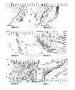 Fig. 02 - METHODS AND COMPOSITIONS FOR MAINTAINING AND IMPROVING THE HEALTH OF SKIN