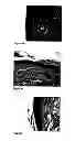 Fig. 08 - METHODS AND COMPOSITIONS FOR MAINTAINING AND IMPROVING THE HEALTH OF SKIN