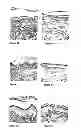 Fig. 12 - METHODS AND COMPOSITIONS FOR MAINTAINING AND IMPROVING THE HEALTH OF SKIN