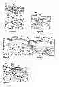 Fig. 14 - METHODS AND COMPOSITIONS FOR MAINTAINING AND IMPROVING THE HEALTH OF SKIN