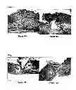 Fig. 15 - METHODS AND COMPOSITIONS FOR MAINTAINING AND IMPROVING THE HEALTH OF SKIN