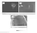 Fig. 07 - Taste masked active pharmaceutical powder compositions and processes for making them
