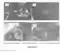 Fig. 08 - Taste masked active pharmaceutical powder compositions and processes for making them