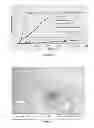 Fig. 16 - Solventless mixing process for coating pharmaceutical ingredients