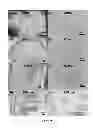 Fig. 27 - Solventless mixing process for coating pharmaceutical ingredients