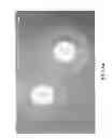 Fig. 09 - Self-cleaning substrates and methods for making the same