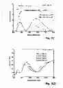 Fig. 15 - Optically effective surface relief microstructures and method of making them