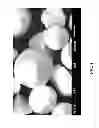Fig. 02 - Foam material and method for the preparation thereof